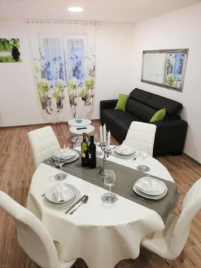 Apartments MTV with privatne parking